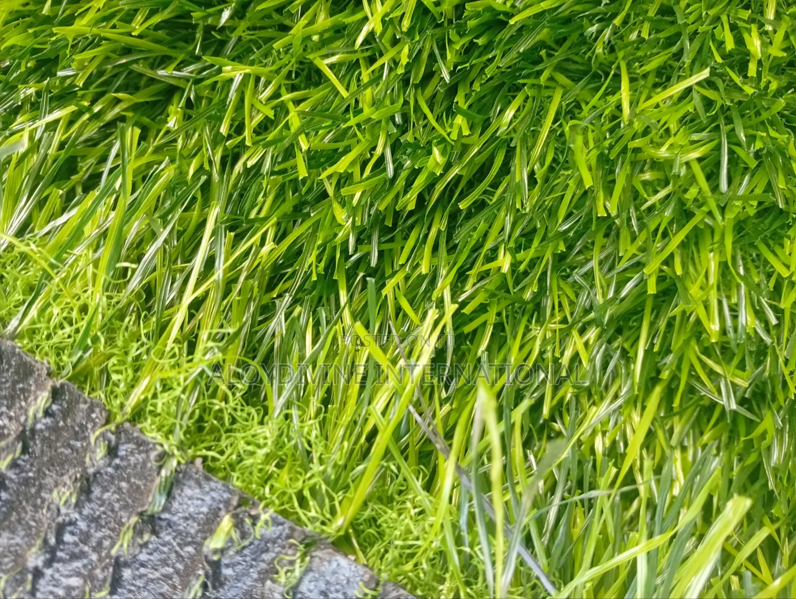 Standard Artificial Grass Carpet 50mm