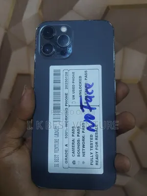 Apple iPhone 12 Pro Max 128 GB Gray