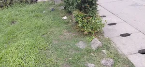 1,168sqm UPDC Road Leki Riight Joint Venture (JV)