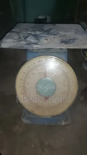 Scale Measurement
