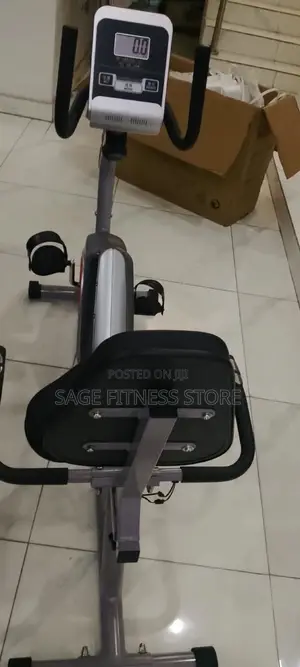 Original Recumbent Bike