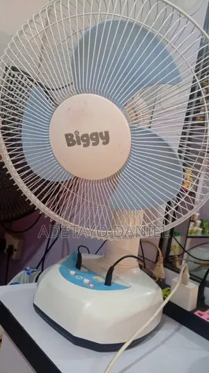 Neat Biggy Table Fan for Sale