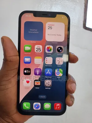 Apple iPhone 12 Pro Max 256 GB Blue