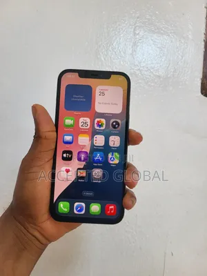 Apple iPhone 12 Pro Max 256 GB Blue