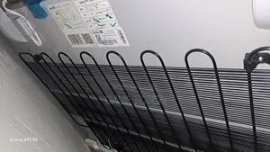 Scanfrost Inverter Freezer