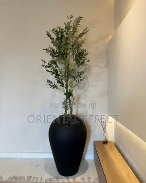 Artificial Twisted Olive Tree With Matte Black Medium Odel Pot 230cm