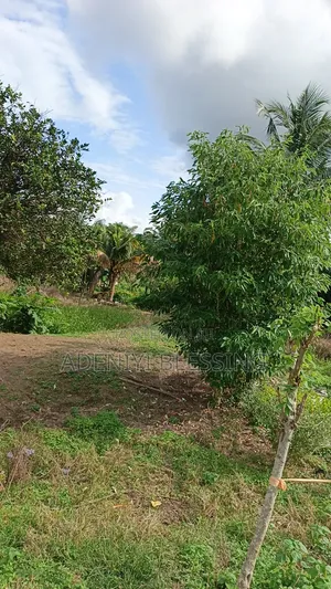 Land for Sale.