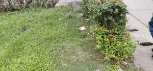 1,350sqm Joint Venture Itedo Estate Off Freedom Leki Phase 1