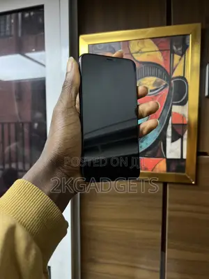 Apple iPhone 11 Pro Max 256 GB Black
