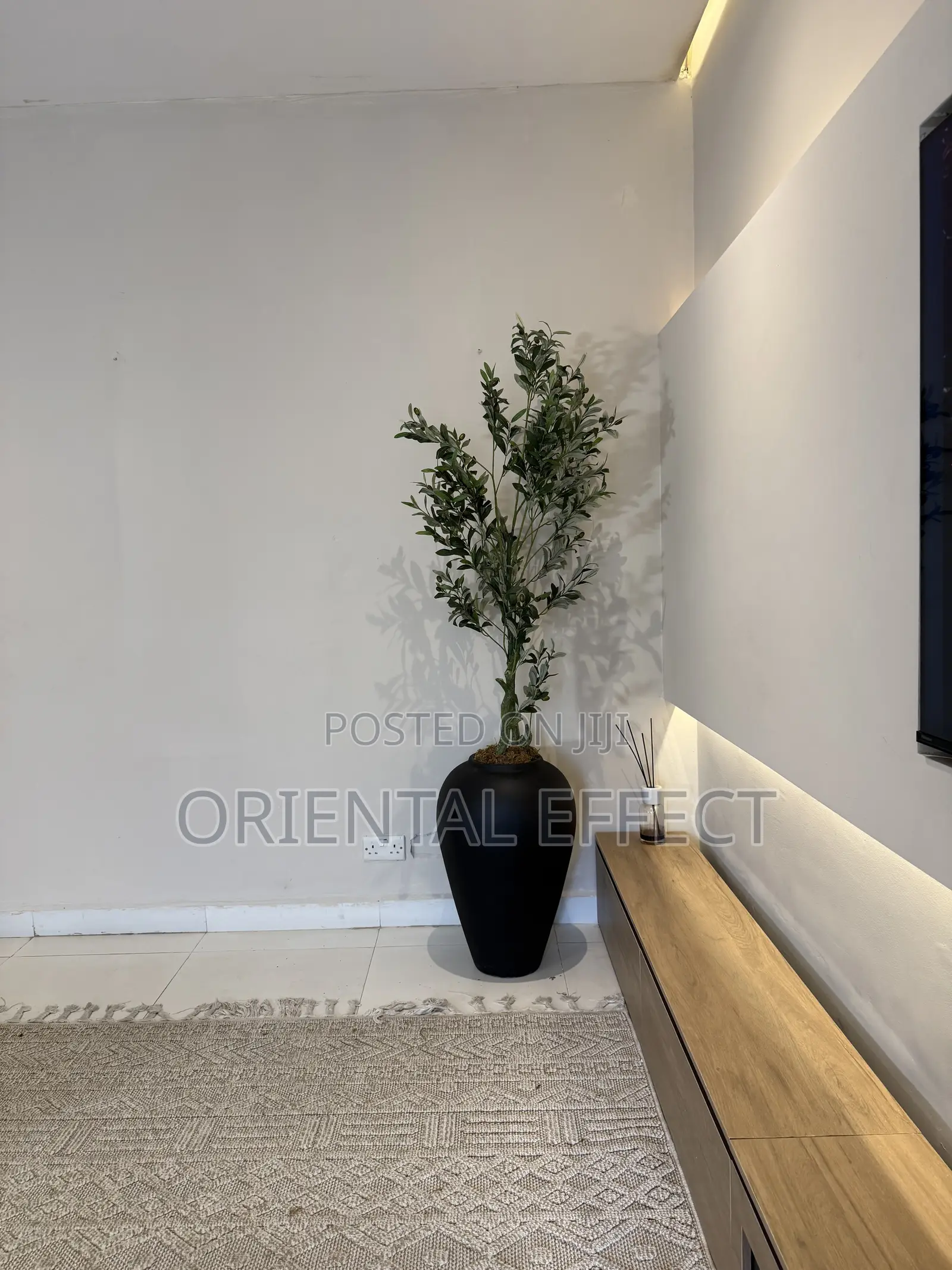 Artificial Twisted Olive Tree With Matte Black Odel Small Pot 186cm