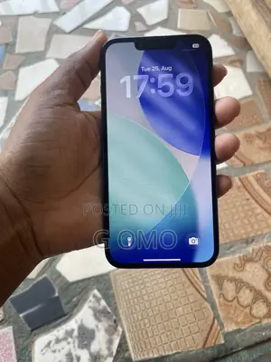 Apple iPhone 13 Pro 128 GB Gray