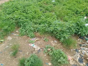 2 Hectares of Jv Mixed Used Land at Mabushi Opposite Capital Hub