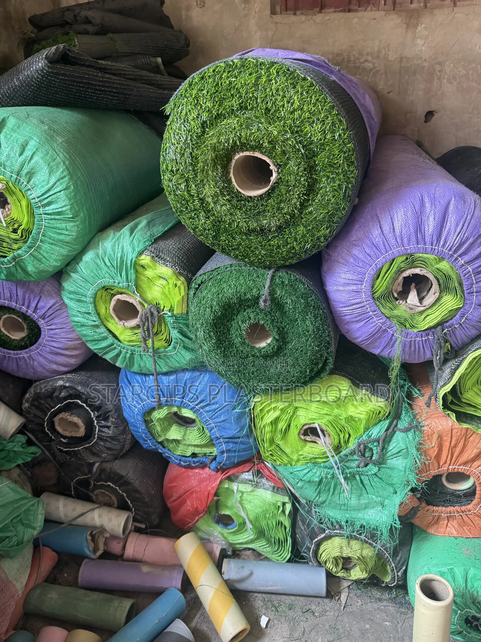 Carpet Grass