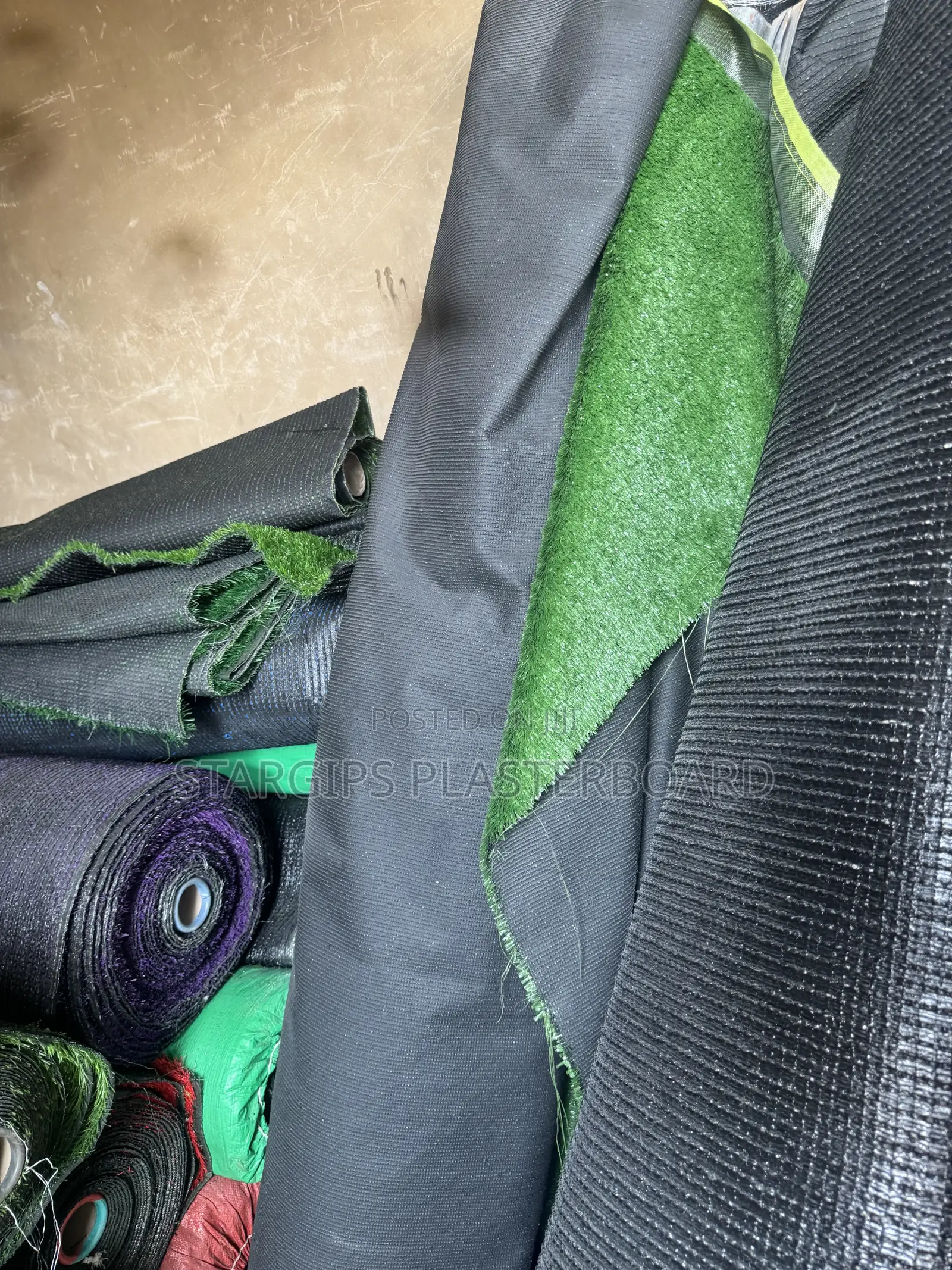 Carpet Grass