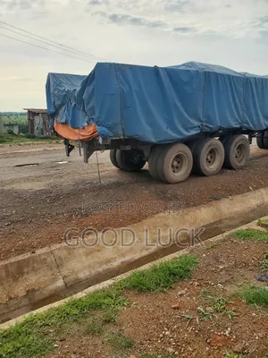Dangote Cement Distributor