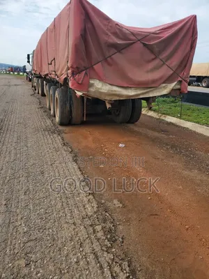 Dangote Cement Distributor