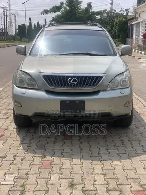 Lexus RX 2008 Gray