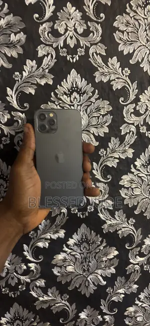 Apple iPhone 12 Pro 256 GB Gray
