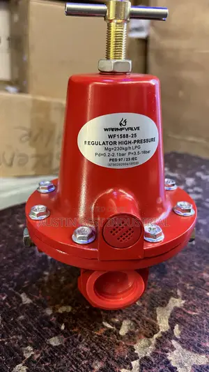 High-Pressure LPG Gas Regulator