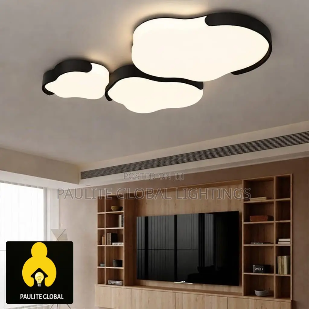 New Designed Ceiling Fittings