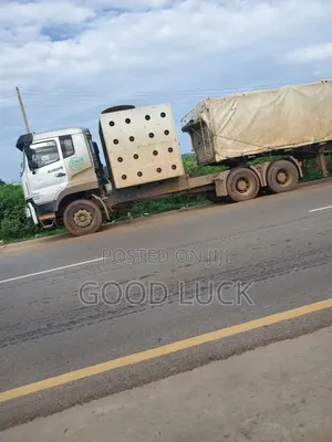 Dangote Cement Dealer