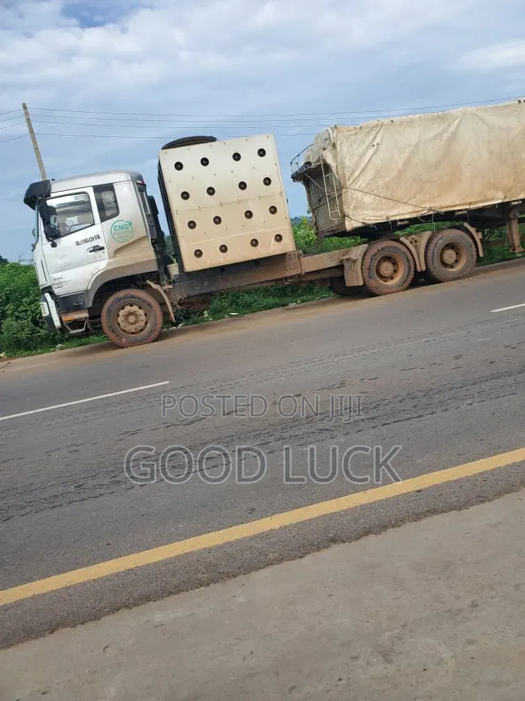 Dangote Cement Dealer