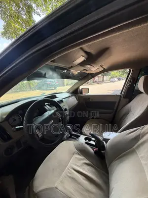 Ford Focus 2008 Gray