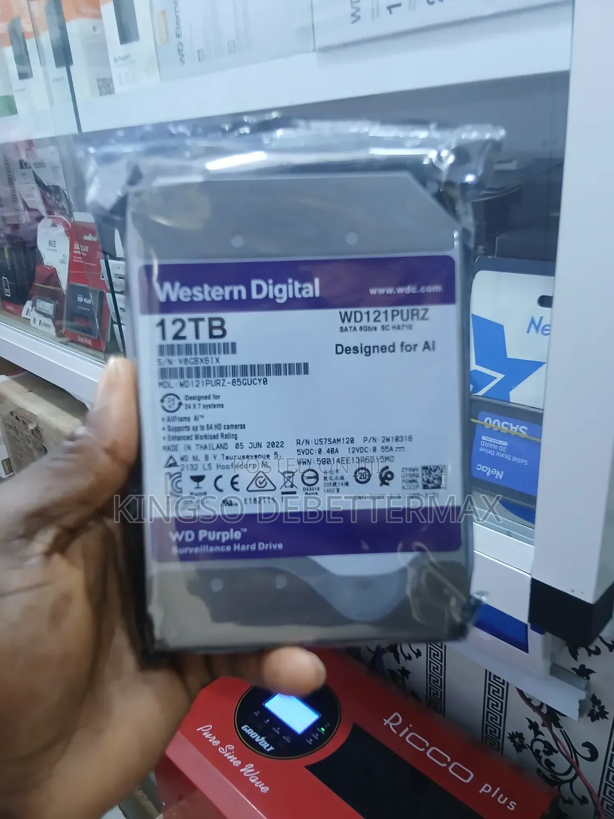12TB Western Digital
