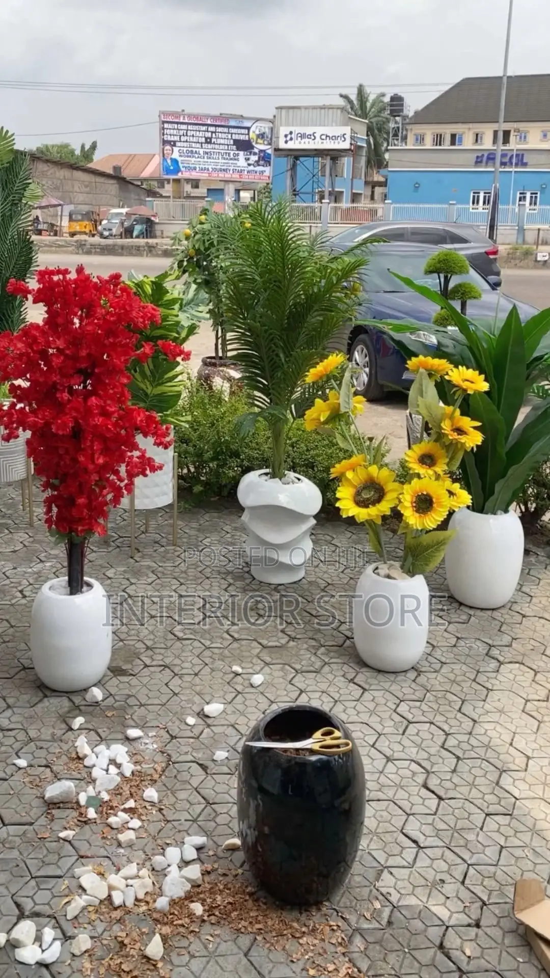 Artificial Plants
