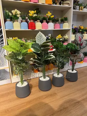 Artificial Plants