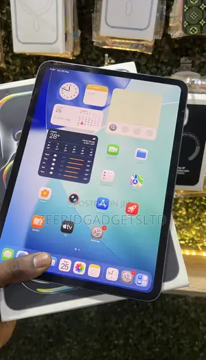 Apple iPad Pro 11 (2025) 256 GB Gray