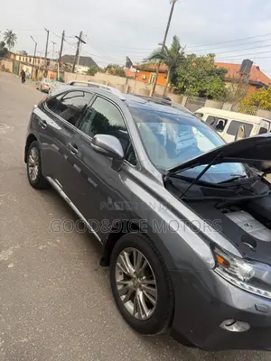 Lexus RX 2013 Gray