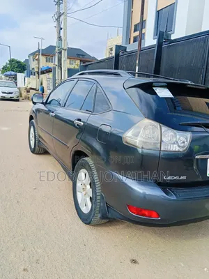 Lexus RX 2004 Gray