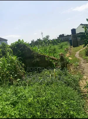 A Full Plot of Land