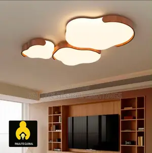 New Designed Ceiling Light