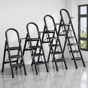 Black Home Ladder