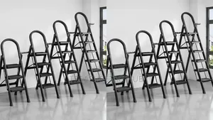 Black Home Ladder