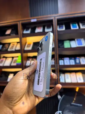 Apple iPhone 15 Pro Max 256 GB Gray