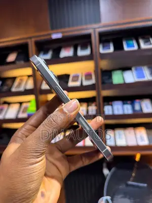 Apple iPhone 15 Pro Max 256 GB Gray