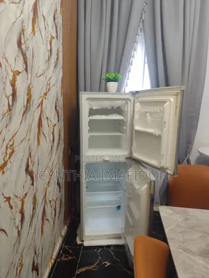 Standing 180 Litre Haier Thermocool Freezer and Fridge Double Door