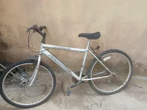 2 Standard Bicycles (Not Fixed)