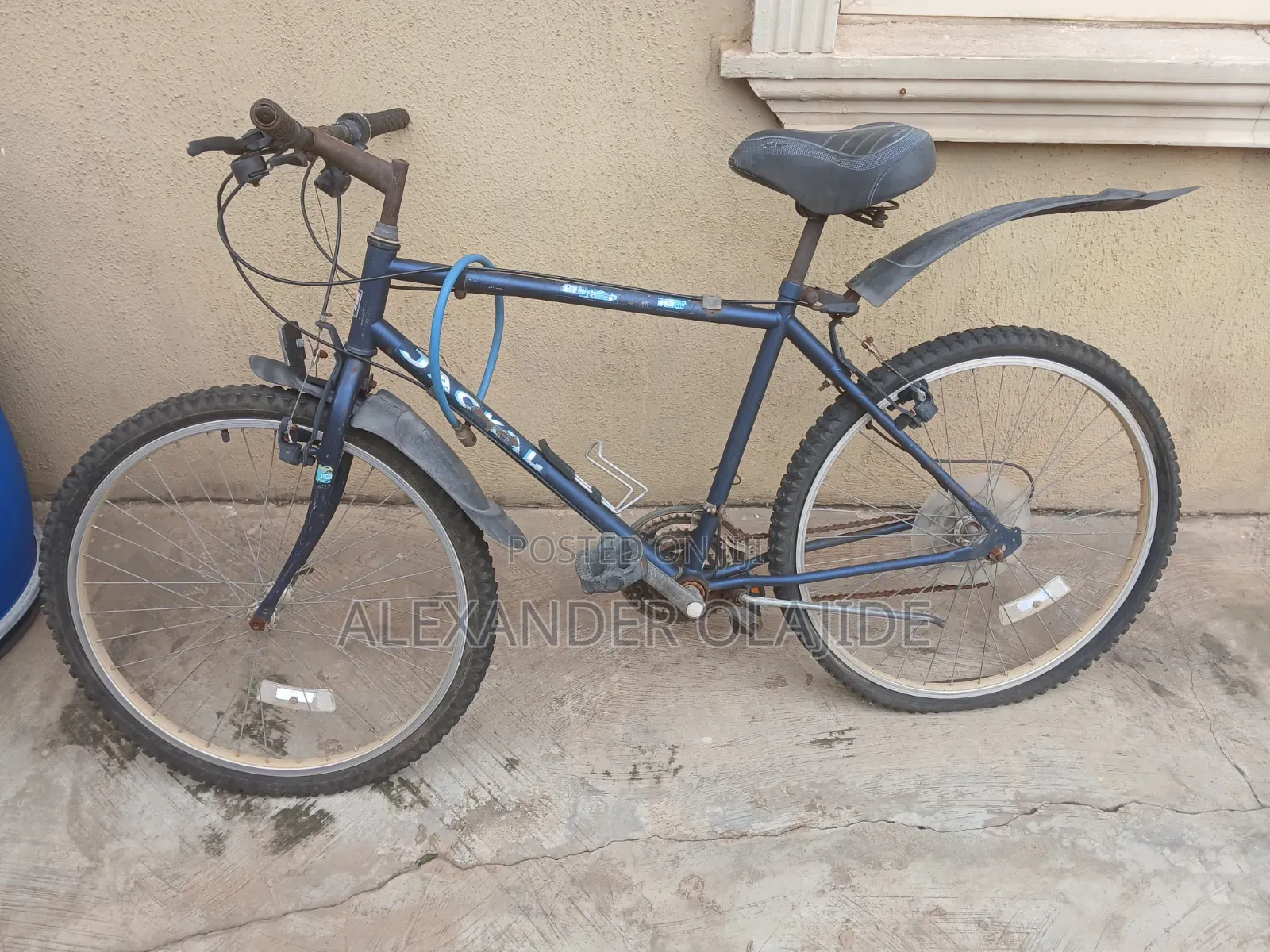2 Standard Bicycles (Not Fixed)