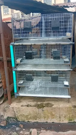 3-Tier Poultry Cage With Feeders & Droppings Trays