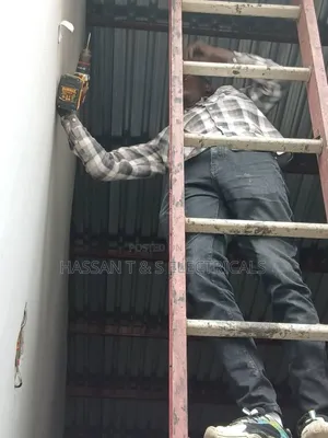 Professional Electrician