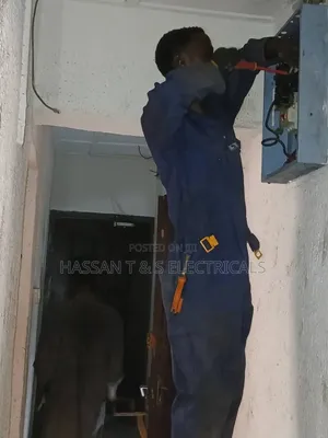 Professional Electrician