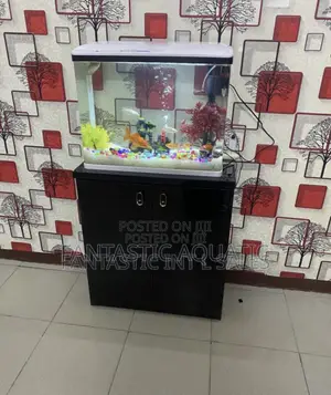 64 Litres Aquarium Complete Set