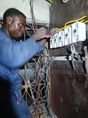Professional Electrician