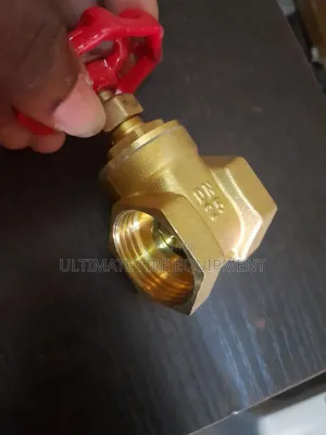 25mm Gate Valve