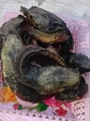 Dried Catfish