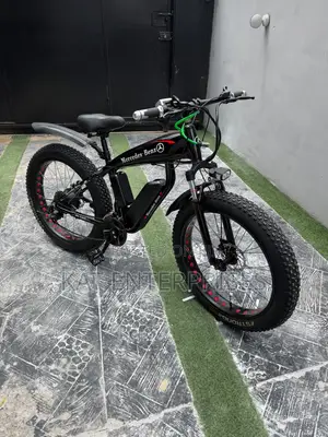 Electric Bicycle